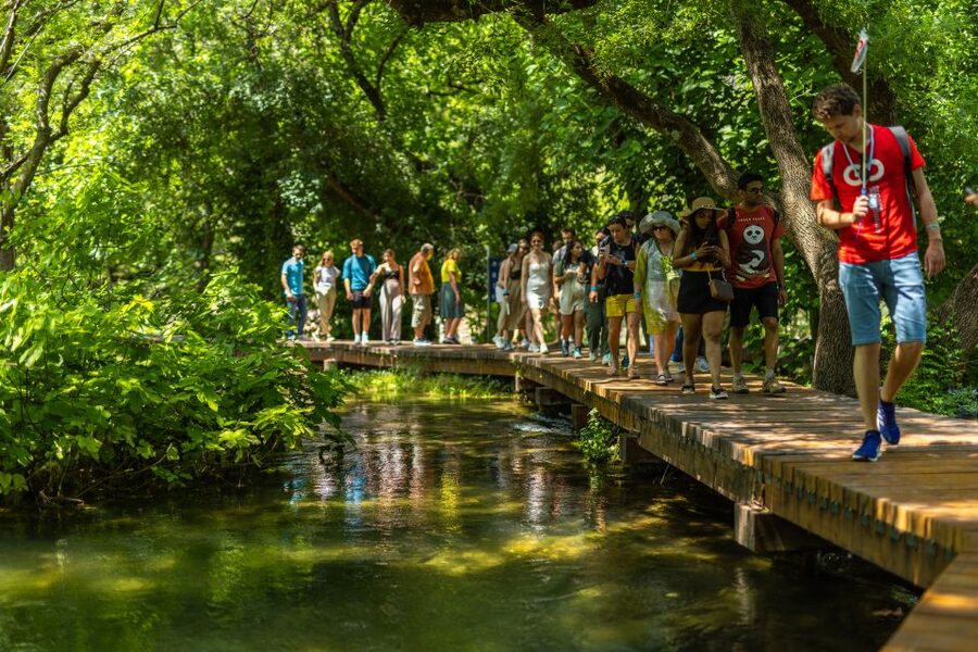 From Split: Krka National Park Tour - Skradin free time and the optional 30-minute wine tasting