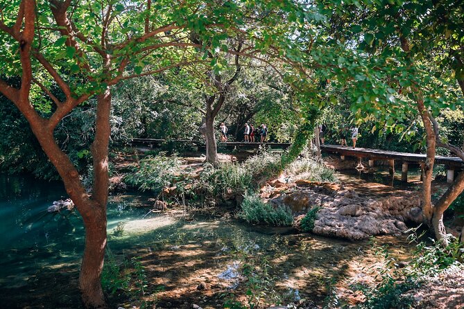 From Split: Krka Waterfalls, Food & Wine Tasting Tour - Plastovo and Vinery Sladić: Maraština, Debit, Plavina, plus olive oil and cheese