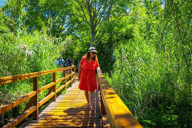 From Split: Krka Waterfalls Tour - What Can Go Wrong (and How to Fix It Fast)