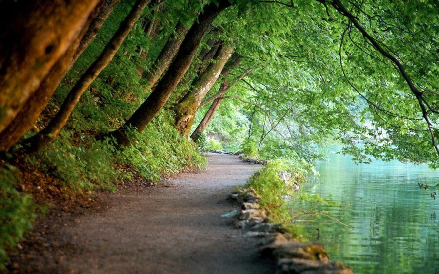 From Split or Trogir: Plitvice Lakes Guided Full-Day Tour - Key Highlights That Make This Tour Worth Your Time
