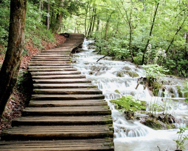From Split or Trogir: Plitvice Lakes Guided Full-Day Tour - Prošćansko Lake Electric Train: The Efficient Way Back
