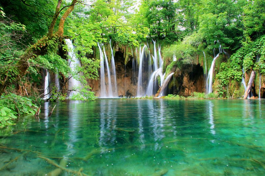From Split or Trogir: Plitvice Lakes Private Tour - Key things that make this Plitvice tour worth it