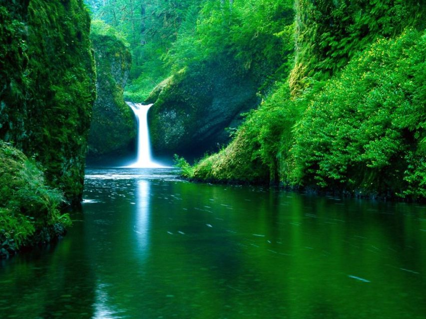 From Split or Trogir: Plitvice Lakes Private Tour - Free time inside the park: use it to slow down, not just to wander