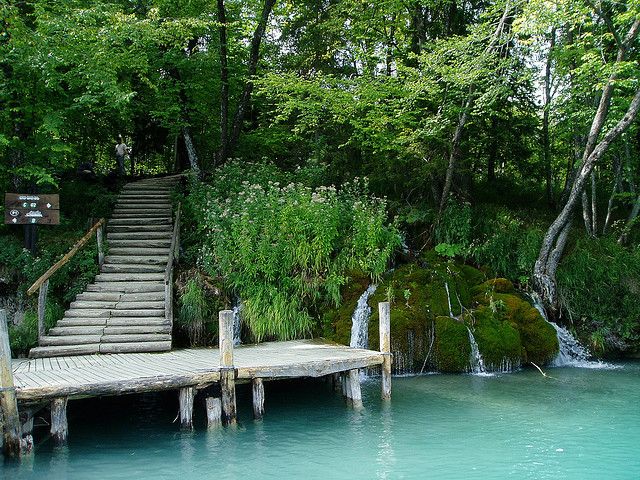 From Split or Trogir: Plitvice Lakes Private Tour - Vila Velebita: lunch and a real breather before the final leg