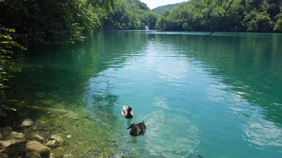 From Split or Trogir: Plitvice Lakes Trip with Entry Ticket - Guide Quality: The Difference Between a Walk and a Learn