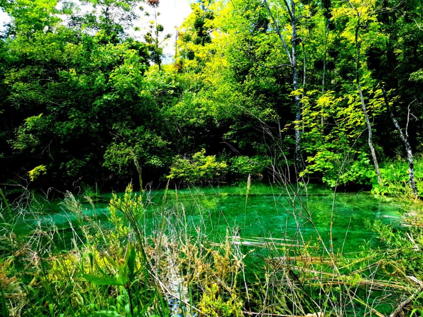 From Split: Plitvice Lakes Full-Day Trip - The road north: what happens during the 3-hour bus rides