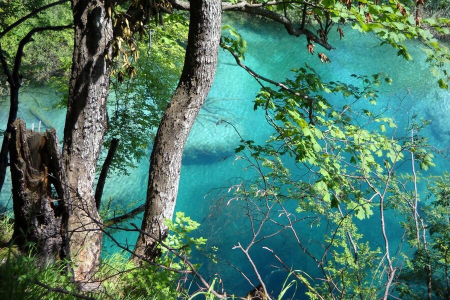 From Split: Plitvice Lakes Fully-Guided Day Tour - The long Split drive, and why it shapes your day