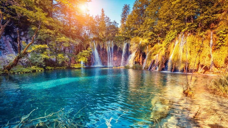 From Split: Plitvice Lakes Guided tour - Price and Value: What Your $76 Really Buys