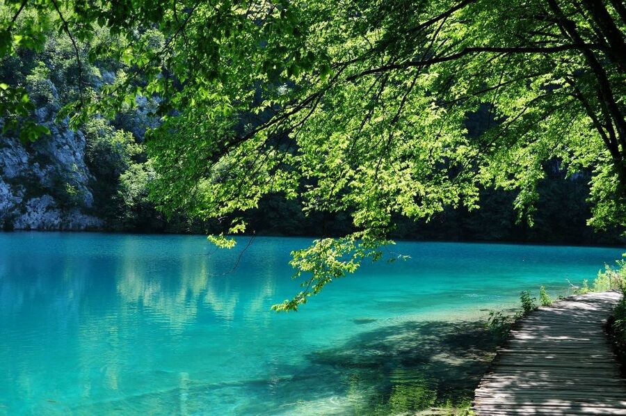 From Split: Private Tour to Plitvice Lakes National Park - Panoramic train and electric boat: shortcuts that still feel scenic