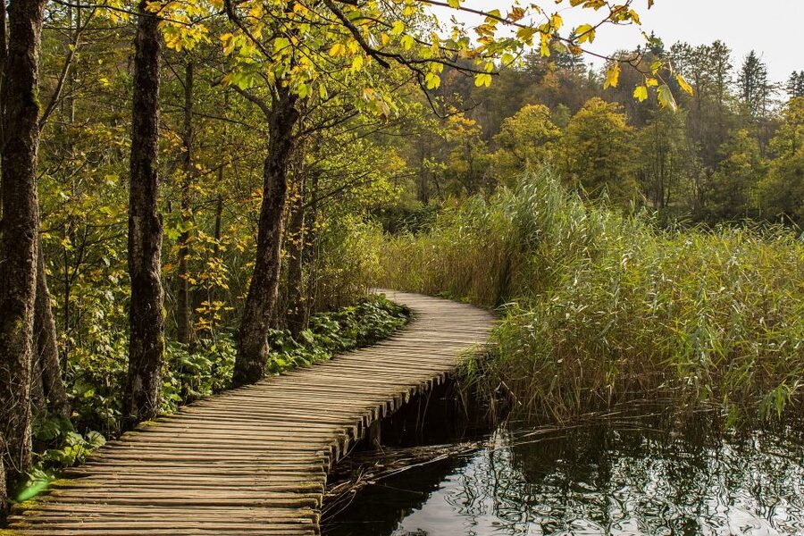 From Split: Private Tour to Plitvice Lakes National Park - Lower lakes first: waterfalls, close-up views, and easy pace