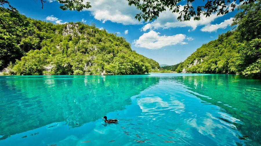 From Split: Transfer to Zagreb with Stop at Plitvice Lakes - Who this tour is for, and who should skip it