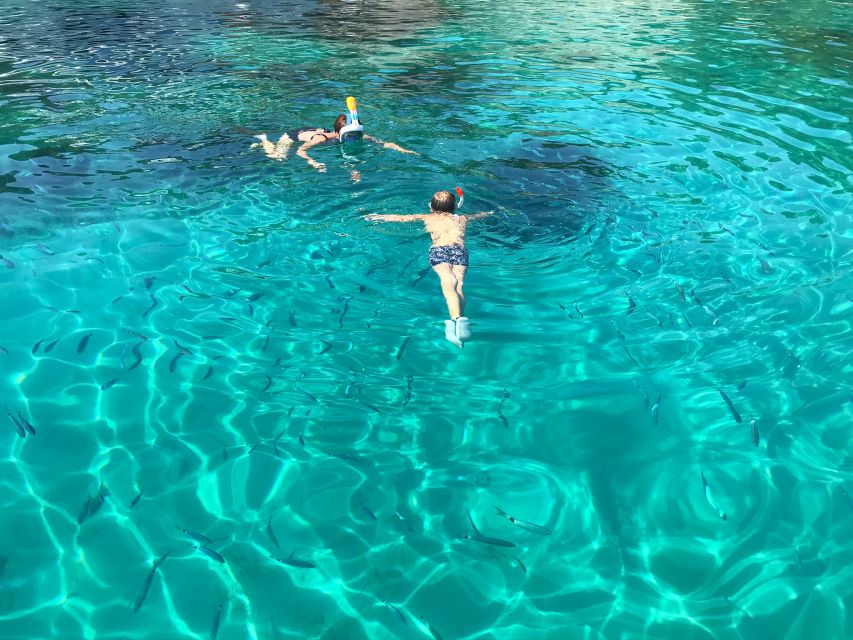 From Trogir: Three Islands Half-Day Speedboat Tour - Should you book this tour from Trogir?