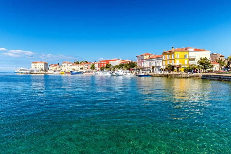 From Umag: Fish Picnic to Poreč with Lunch and Swimming - Key Highlights You’ll Care About