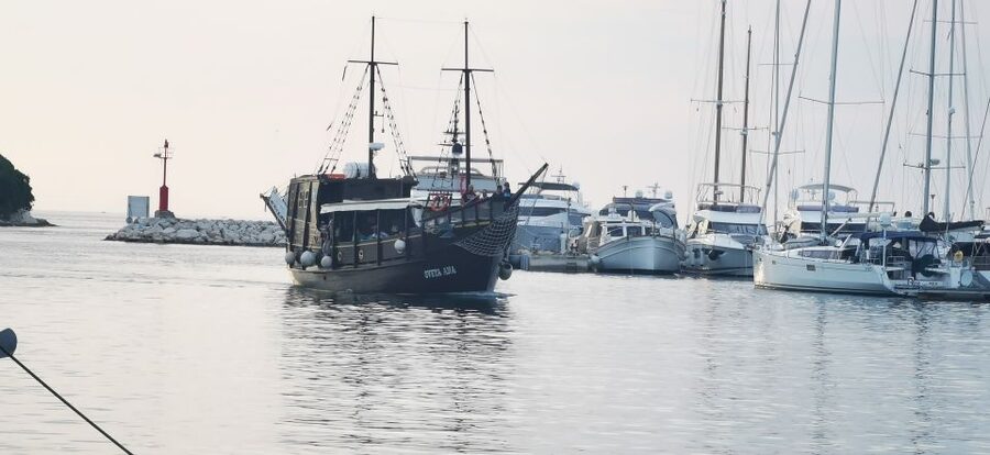 From Vrsar: Boat Trip to Rovinj and Lim Fjord - The practical reality: keeping your day stress free