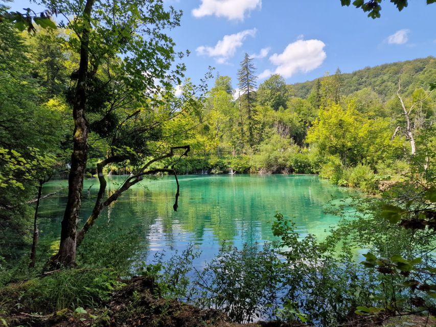 From Zadar: Krka Waterfalls Tour with Panoramic Boat Ride - Skradin free time: use it as a reset, not a checklist