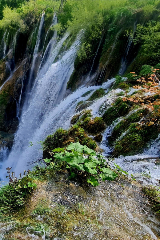 From Zadar: Plitvice Lakes Day Trip with Guide and Boat Tour - Reserved entry: skipping the worst of Plitvice lines