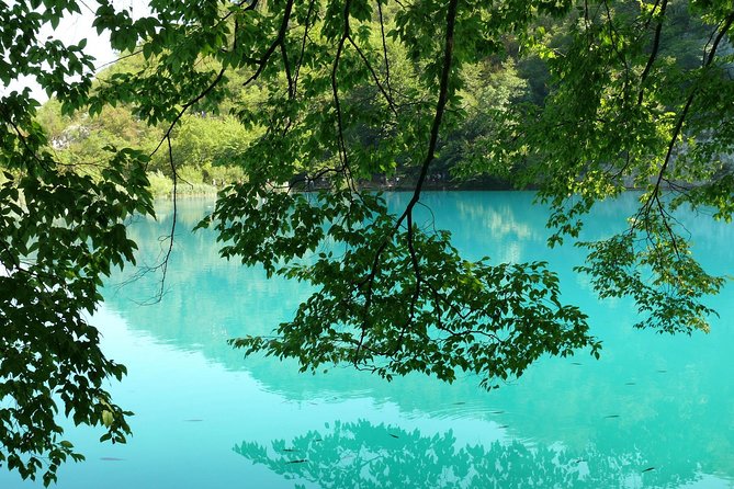 From Zadar: Plitvice Lakes with Boat Ride & Zadar Old town tour - Getting Back to Zadar: The Old Town Walk Adds Meaning