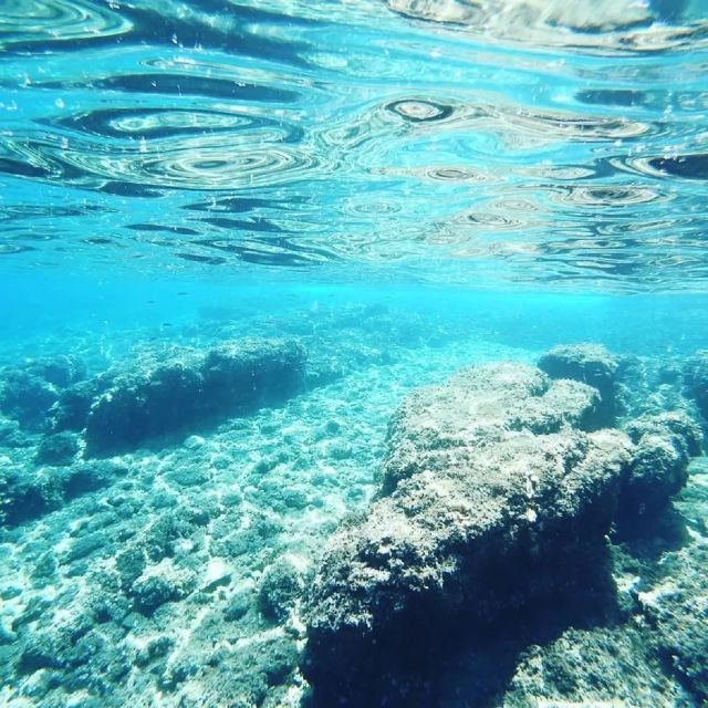 From Zadar: Private Half Day Sailing Tour - Private Half-Day Sailing from Zadar’s Archipelago (09:00 or 14:00)