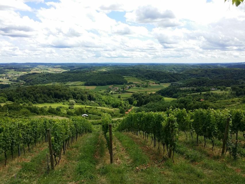 From Zagreb: Fairytale Castle & Wine Tasting & Lunch - Key things worth knowing before you go