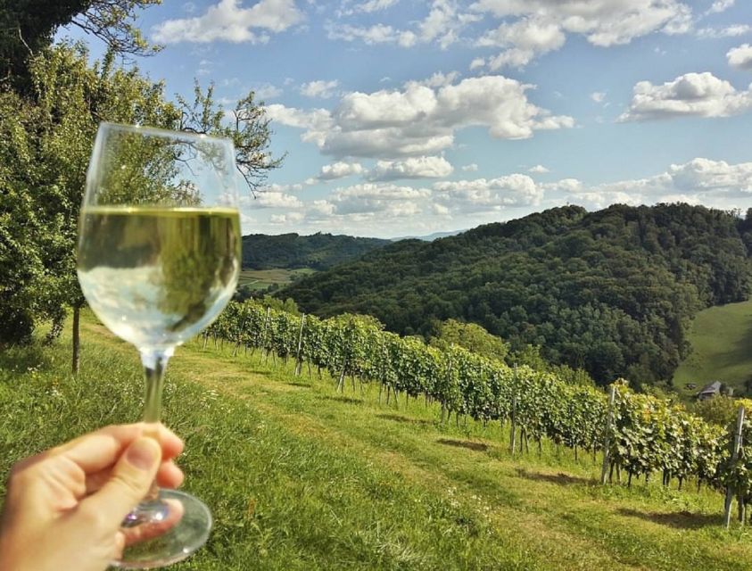 From Zagreb: Fairytale Castle & Wine Tasting & Lunch - The winery at Vuglec Breg: four wines with vineyard views