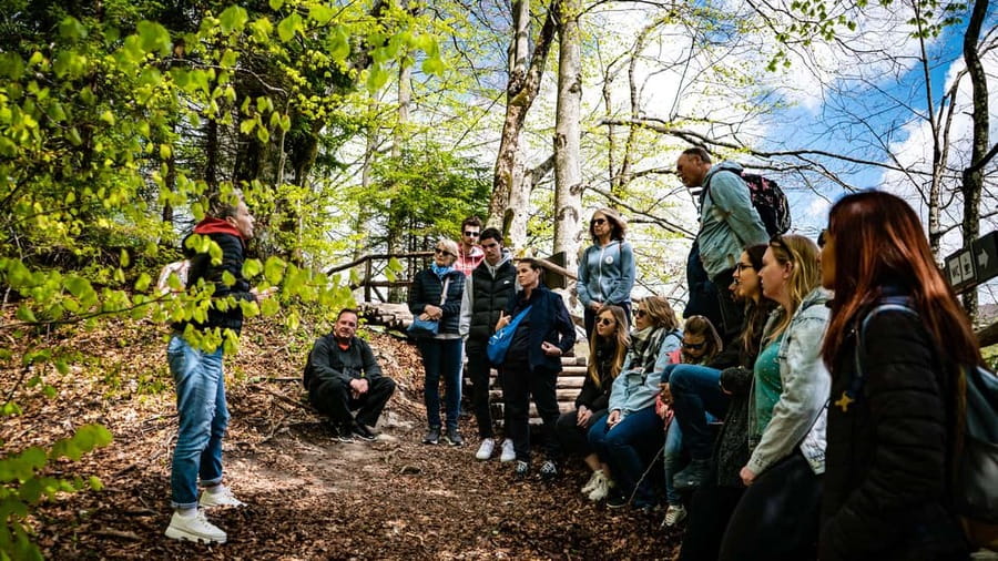 From Zagreb: Plitvice Lakes National Park Full-Day Tour - The cash-only entry ticket: how to avoid a last-minute problem