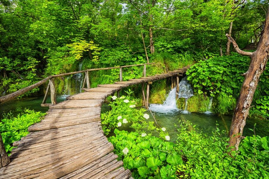 From Zagreb: Plitvice Lakes & Rastoke Private Tour - Price and value: what $424 per person is really buying