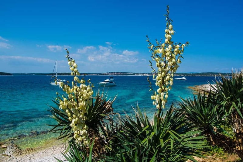 Full-Day Boat Trip, Cave Swim, lunch & Drinks - Medulin/Ceja - Cape Kamenjak Cave Swim: What It Feels Like and What to Bring