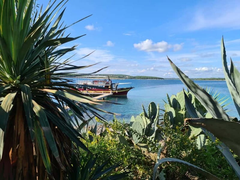 Full-Day Boat Trip, Cave Swim, lunch & Drinks - Medulin/Ceja - Ceja Island: Your 2-Hour Swim, Sun, and Optional Cafe Stop