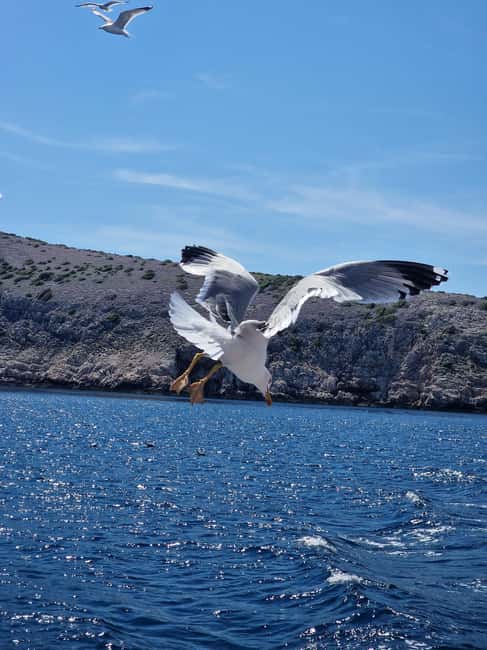Full day boat-trip Medulin, blue Cave, Cres + dolphin search - Cruise views past Hrid Zaglav and the coast you actually remember