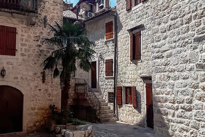 Full-Day Group Tour of Montenegro Coast from Dubrovnik - Getting there from Dubrovnik: early start, border time, and route fatigue