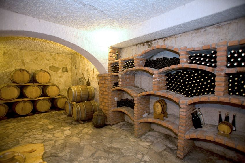 Full-Day Peljesac Wine Tour - Key highlights you’ll care about