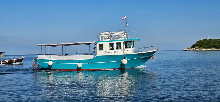 Funtana: Dolphin safari, drinks included - Key Points Before You Go