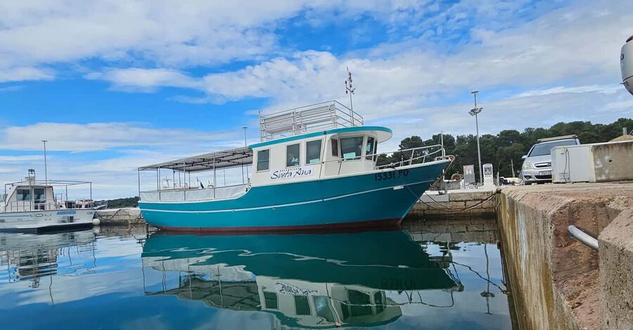 Funtana: Dolphin safari, drinks included - Price, Value, and Who This Boat Trip Makes Sense For