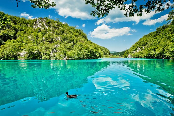 Guided transfer from Split to Zagreb with Plitvice Lakes stop - Gray Line Split to Plitvice: Why the First Transport Leg Matters