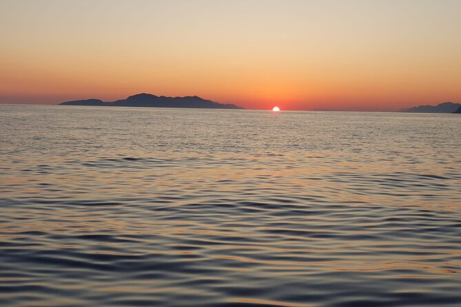 Half-Day Best Beaches & Bays Private Speed Boat Tour - Price and value: $338.62 per group, plus the fuel surcharge