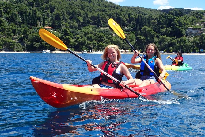 Half-Day Split Sea Kayak Adventure - Price and Value: Why $59.95 Can Feel Like a Good Deal
