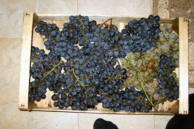 Half Day Tour - Deep and Dark Red Wine of Pelješac - Mali Ston Bay Oysters If You Want the Seafood Bonus