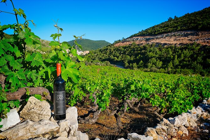 Half Day Tour - Deep and Dark Red Wine of Pelješac - A Licensed Guide and Private Tour at Your Own Rhythm