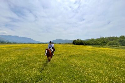 Horseback Riding Across River Ljuta with transport