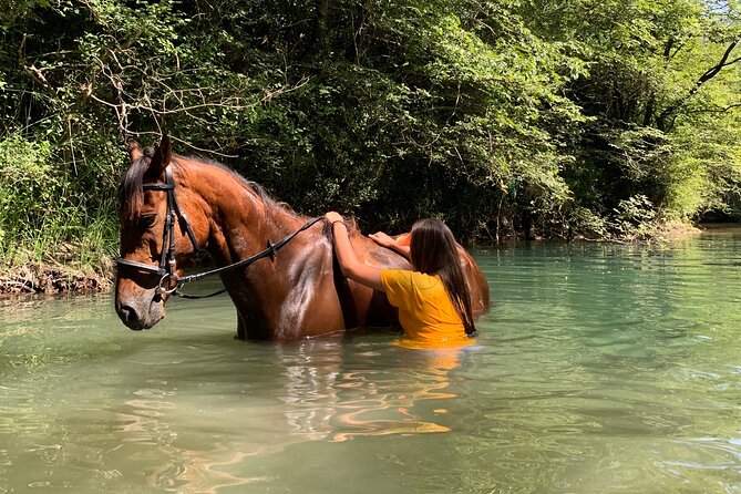 Horseback Riding Across River Ljuta with transport - What Fills the Full 4 Hours 30 Minutes (and Why Timing Matters)