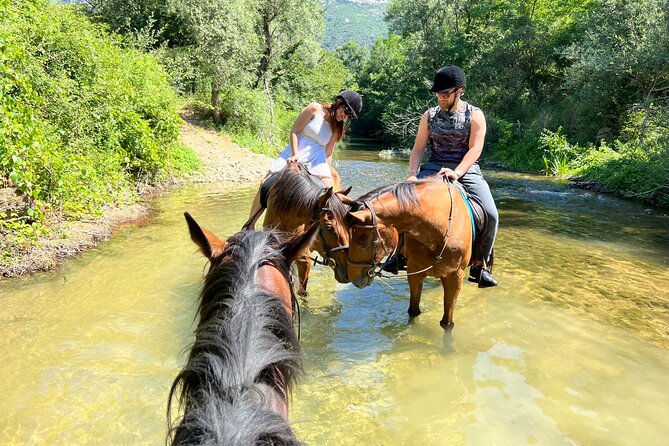 Horseback Riding Across River Ljuta with transport - Transport and Tickets: Simple, Not Stressful