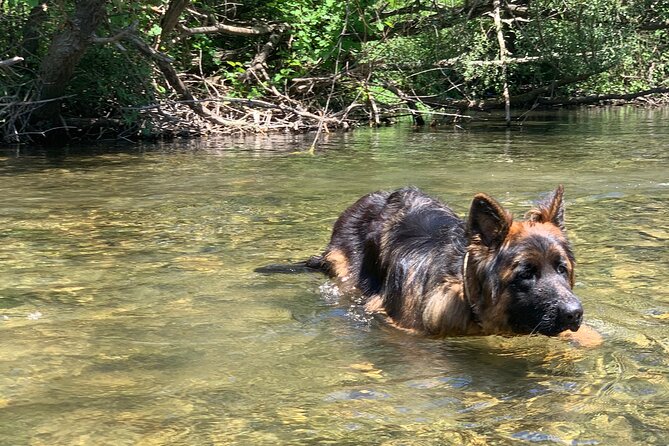 Horseback Riding Across River Ljuta with transport - Who This Horse Ride Fits Best (and Who Should Think Twice)