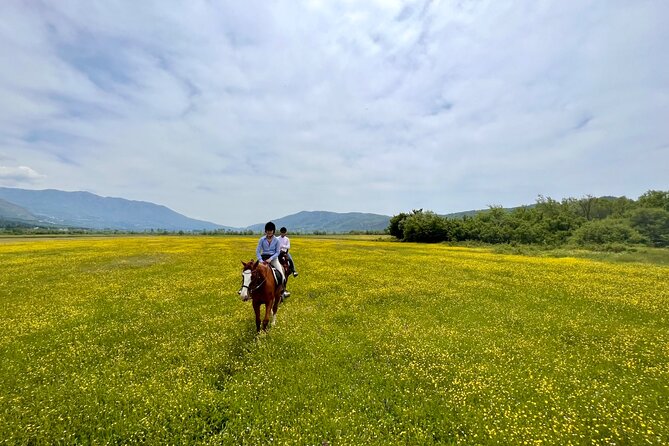 Horseback Riding Across River Ljuta with transport - Konavle Ranch Welcome: Horses, Hosts, and the Calm Before the Ride