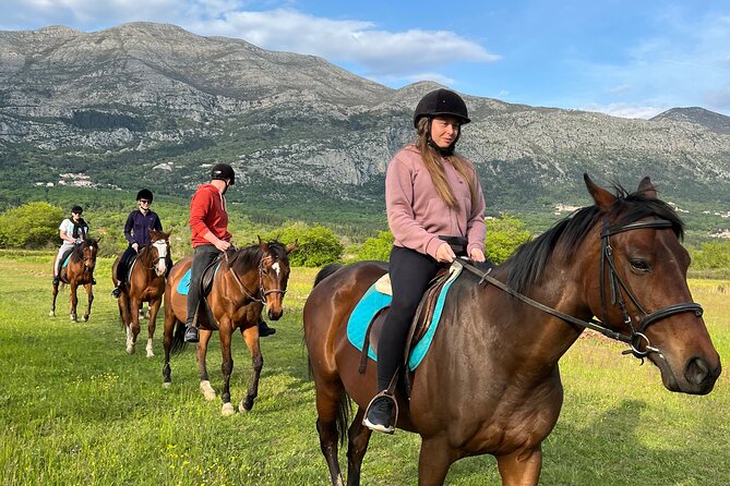 Horseback Riding Experience with transport from Dubrovnik - Key things I’d circle before you go