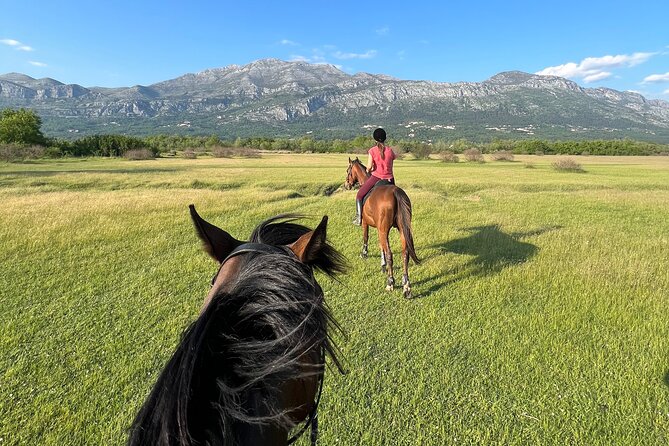 Horseback Riding Experience with transport from Dubrovnik - Dubrovnik to Konavle Horse Riding, The Real Purpose