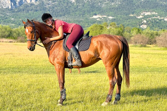 Horseback Riding Experience with transport from Dubrovnik - At the Mali Raj Ranch: Animals First, Then Horses