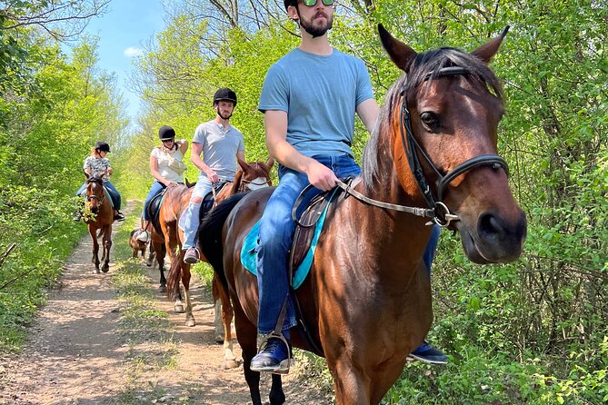Horseback Riding Experience with transport from Dubrovnik - The 60-Minute Trail Ride Through Fields, Forest, and Vine Views