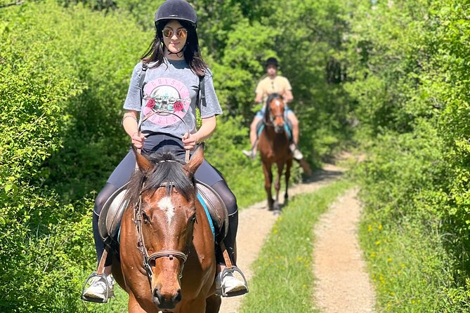 Horseback Riding Experience with transport from Dubrovnik - Price and Value: What $118.94 Covers