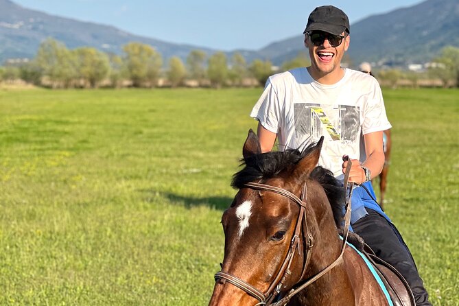 Horseback Riding Experience with transport from Dubrovnik - Who Should Book This Horse Ride From Dubrovnik?