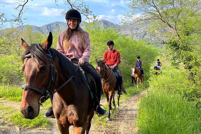 Horseback Riding Experience with transport from Dubrovnik - Meeting in Dubrovnik: One Hour Before 9:00 am